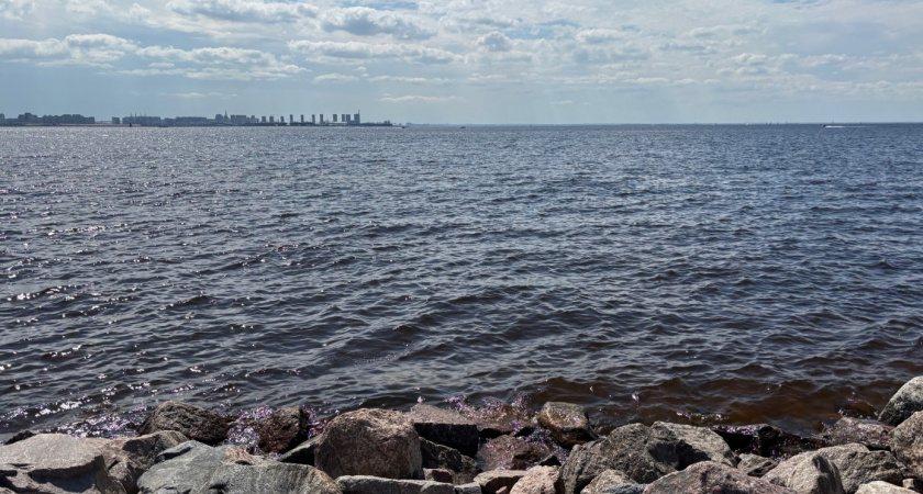 Бросили Москву и уехали: 6 регионов, куда переезжают жители столицы - живут и радуются 