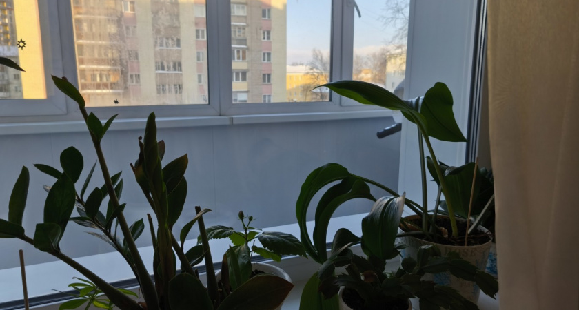 Кружевной тюль ушел из моды: чем советуют заменить громоздкие ткани для трендового ремонта