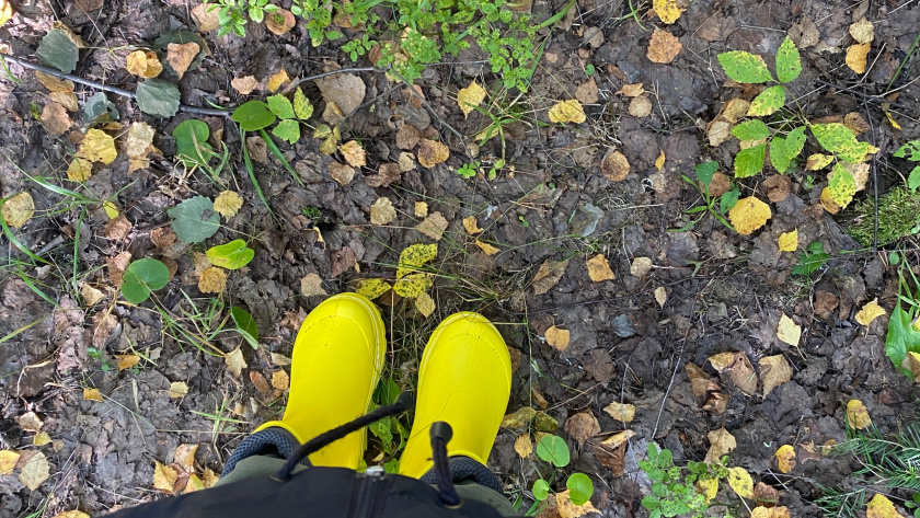 Китайцы платят бешеные деньги, а мы их не ценим: почему "золото" валяется под ногами, а деньги уходят за границу 