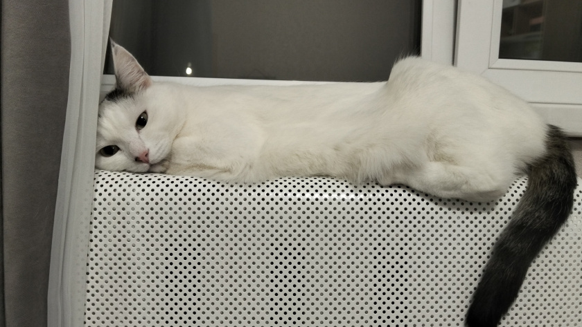 Многие ждут отключения отопления уже при +15 °C, но есть другое правило: в Госдуме назвали точное условие для батарей