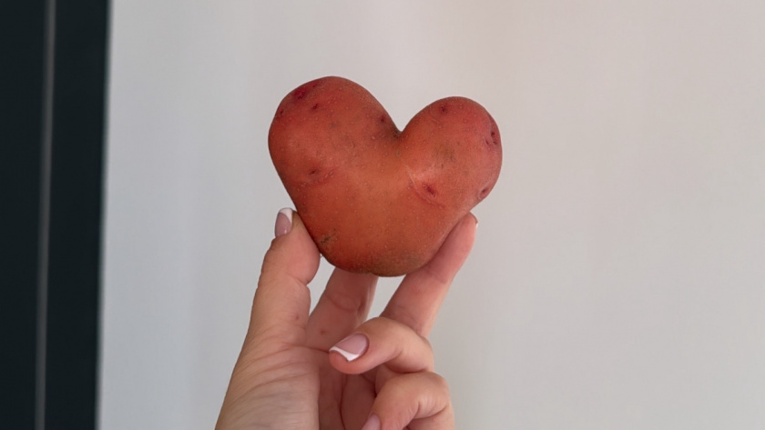 Фермер объяснил, почему осенью картошка гниёт на полях, а зимой стоит 150 рублей