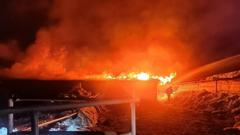 Под Унями пожарные спасли 180 коров, запертых в объятом огнем здании фермы