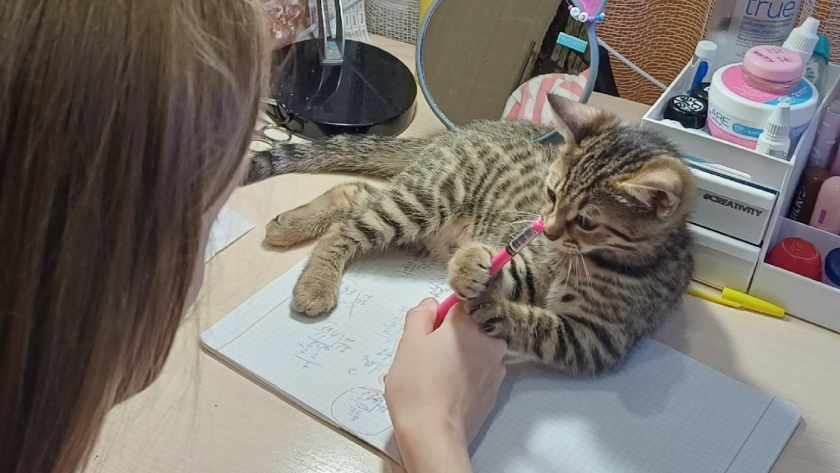 Вы не зря учились в школе, если сходу решите пример: управитесь за 1 минуту без калькулятора? 