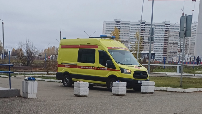 Юный кировчанин, укушенный пчелой, по суду получит компенсацию от хозяина пасеки