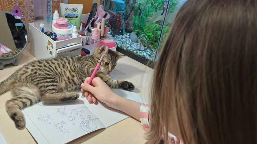 Это русское слово пишут с ошибками даже преподаватели, хотя видят его каждый день. Объясняю правило, которое все забыли