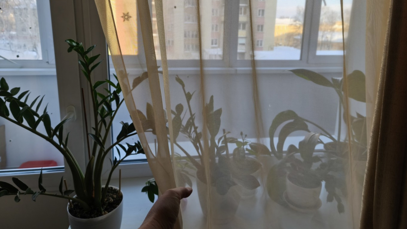 Шведам запретили вешать шторы - и вот почему: странная причина, но логика в ней есть 