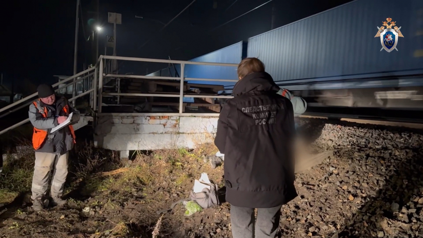 Жительница Кировской области погибла, попав под поезд Москва – Владивосток