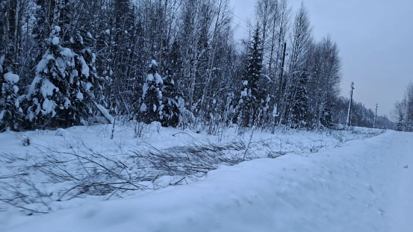 Под Подосиновцем готовятся к строительству нового участка трассы на северо-запад
