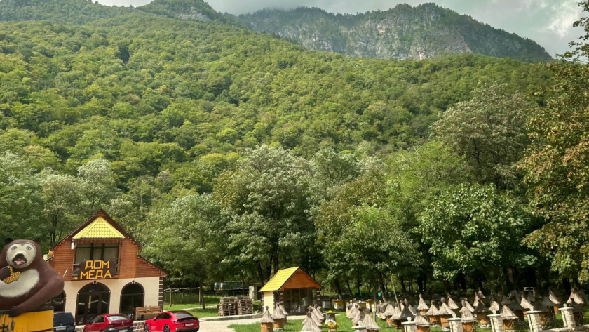 Сколько на самом деле зарабатывают местные в Абхазии - ахнула, когда узнала 