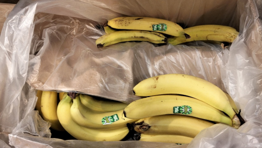 Обматывают бананы бумагой и ждут чуда - проверила популярный лайфхак и вот что вышло: делюсь результатом 