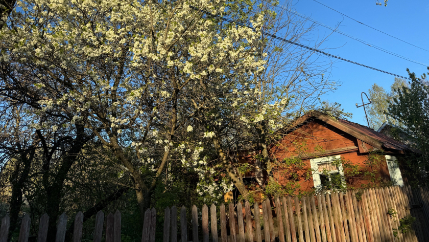 Администрация Кирово-Чепецка начала торговать пустующими земельными участками