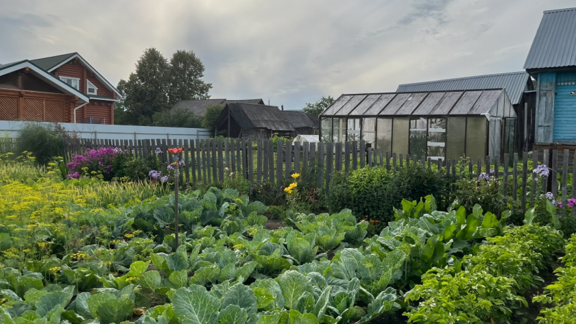 Дачники массово избавляются от выгребных ям на даче: нашли 4 замены - без вони, но с комфортом 