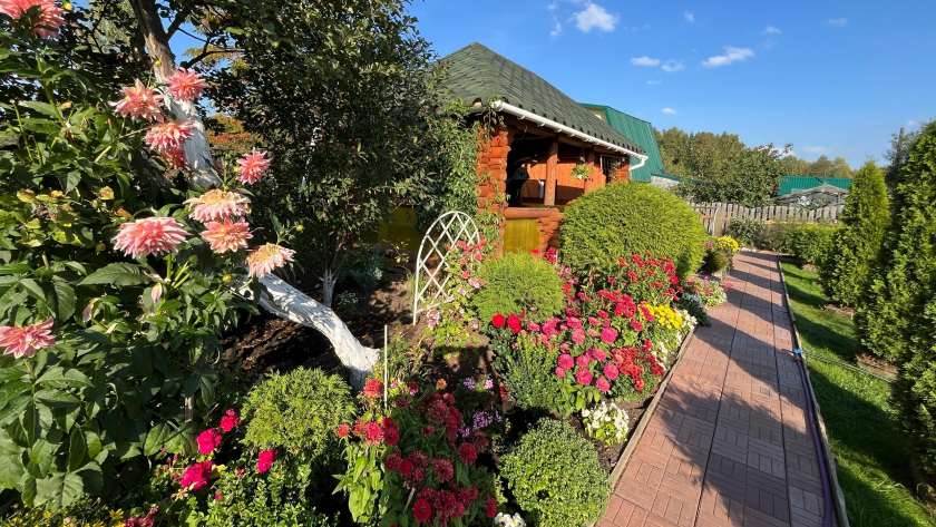 Посадил и забыл: 5 эффектных цветов для глинистой почвы, которые радуют красотой до самых морозов