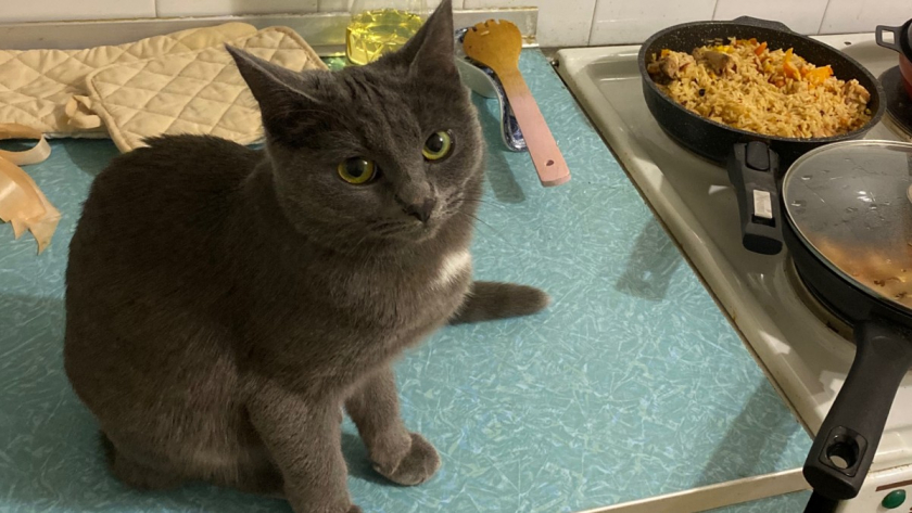 Шестнадцать кухонных приёмов, которые сокращают время готовки и снижают пищевые отходы до минимума