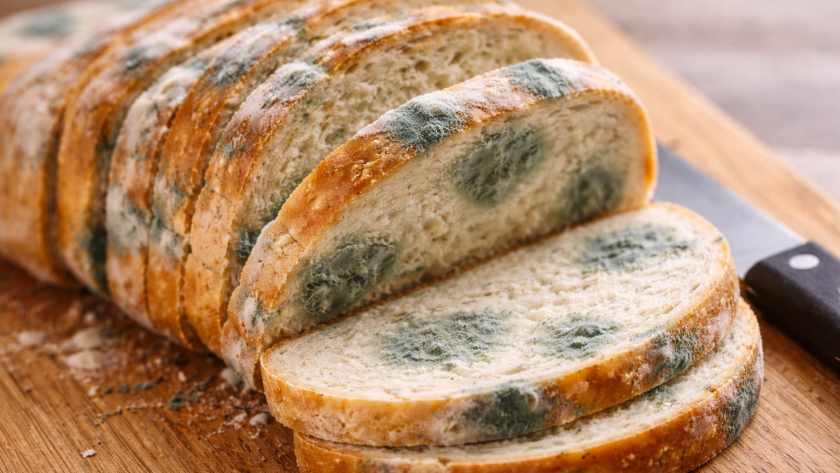Можно ли есть продукт, с которого срезали плесень: ответ специалистов оказался жёстким