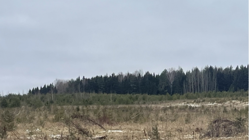 В Кировской области собственники очистили 17 гектаров земли от сорняков