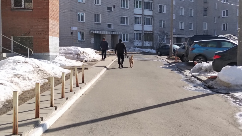 Кировский губернатор потребовал привести в порядок дороги, поврежденные зимой