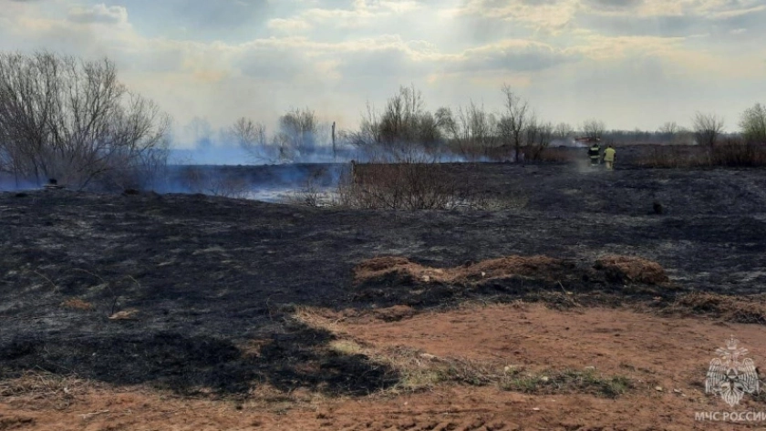Стало известно, когда в Кировской области введут противопожарный режим