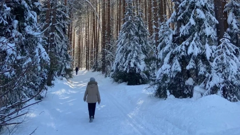 Кировская область поставила в Узбекистан 17 тысяч кубометров пиломатериалов