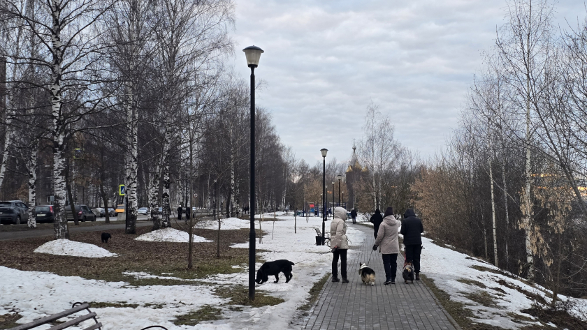 Жительница Кирово-Чепецка обобрала родную мать, чтобы вылечить ухажера из США