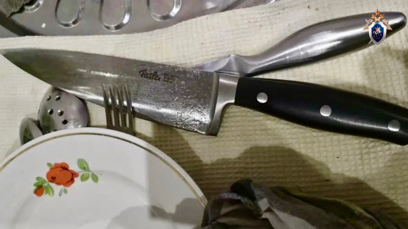 Кировчанка умерла после одного удара ножом от близкого человека