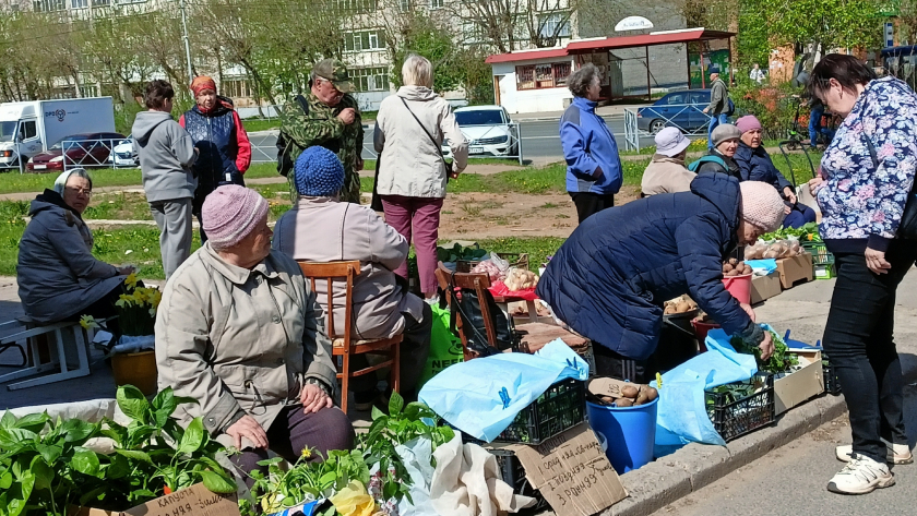 Фермерская еда — не всегда безопасная. Рассказываю, почему я выбираю продукты из супермаркета, а не с рынка