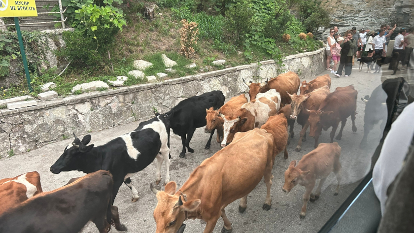 Почему в Абхазии требуют от русских соблюдать дресс-код, который не соблюдают сами