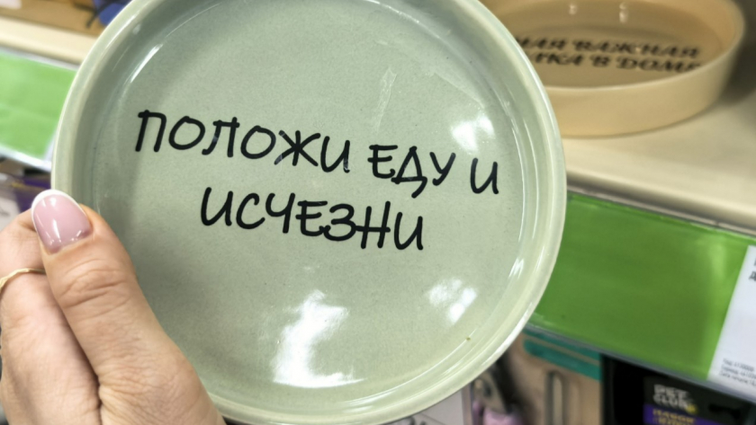 В Фикс Прайсе новые товары для животных - просмотрела все и рассказываю про самые интересные