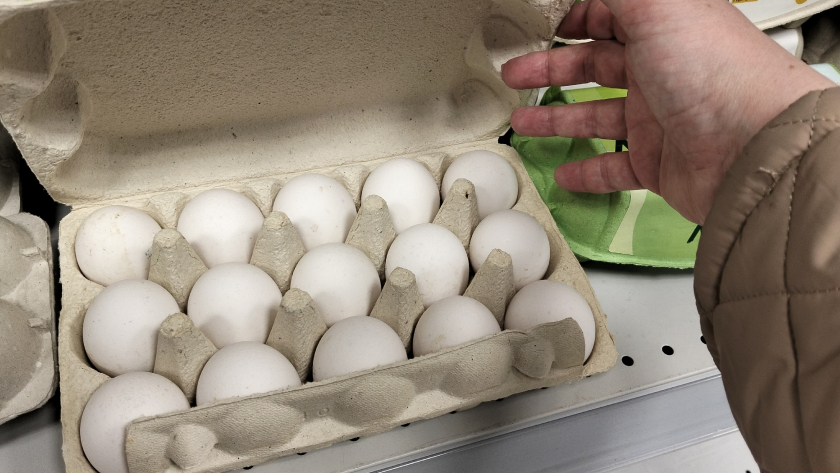 Новое исследование о яйцах: привычный продукт оказался полезнее, чем думали - что говорят ученые