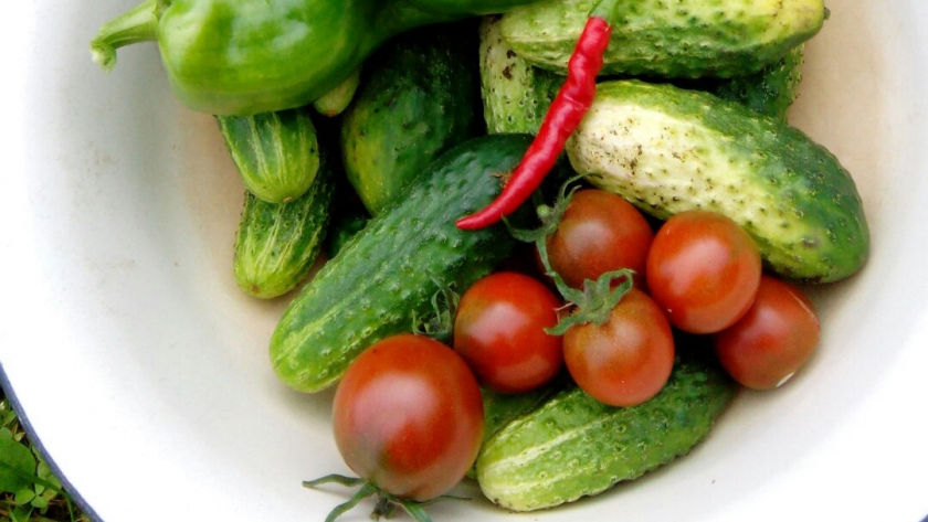 Когда сажать огурцы в 2026 году: точные сроки по регионам и 3 сигнала, что уже пора - не ошибетесь