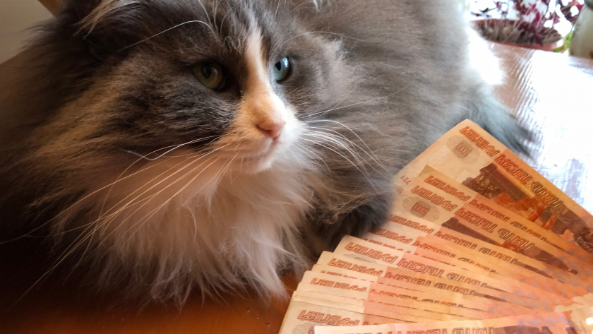 Зарабатываю в 10 раз больше бабушки, а денег нет, а у нее всегда были. Вот 8 ее правил, над которыми я раньше смеялась