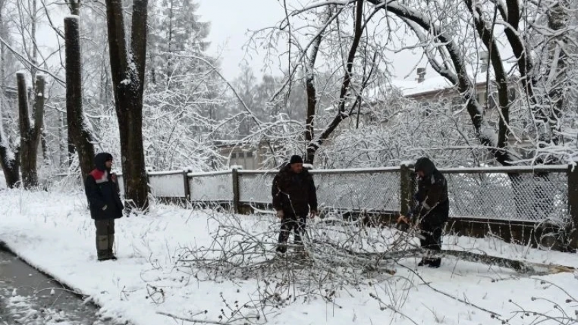 В Кирово-Чепецке убрали ветку с тротуара на Заводской