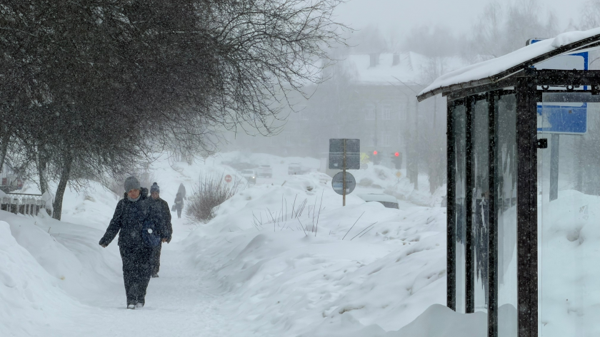 До 15 сантиметров снега: на Кировскую область идет вторая волна снегопадов 