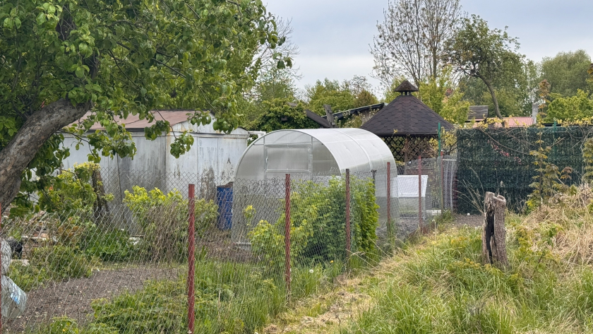 Как превратить сорняки в мощное удобрение за 7 дней: дешёвый способ для богатого урожая