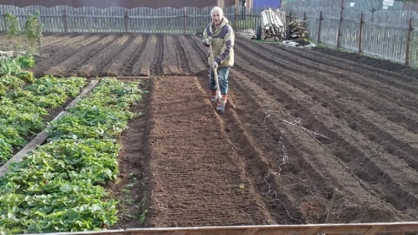 Из Кировской области в Китай отправили более 15 тысяч кубометров торфа