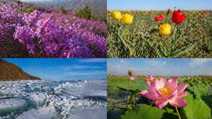 4 природных чуда России, ради которых отпуск приходится подстраивать под одну-единственную неделю