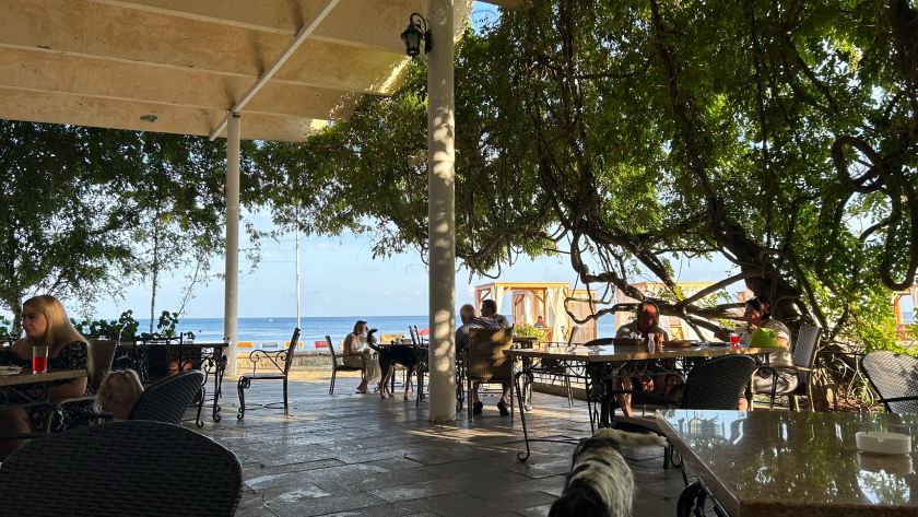 О чём молчат риелторы в Сочи: жить у моря круглый год — это мазохизм. Идеально иметь две квартиры. А если нет — подумайте десять раз