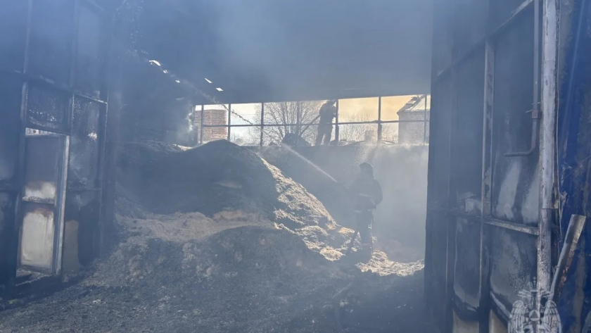 В Кировской области пожарные расчеты боролись с огнем в цехе деревообработки