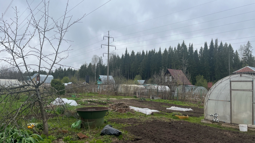 Не торопитесь высаживать, пока не сделаете всё по порядку: апрельская подготовка теплицы по науке