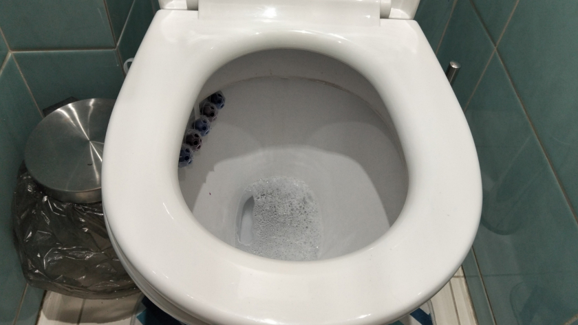 «Просто засыпь и ложись спать, а утром унитаз будет белее снега» – проверяю совет знакомого сантехника