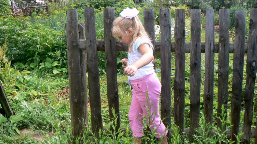 Звучное и старинное имя для девочки: его воспевали русские классики - а сейчас о нем забыли