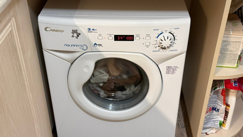 Почему пропадают носки после стирки: мастер рассказал, куда они деваются на самом деле