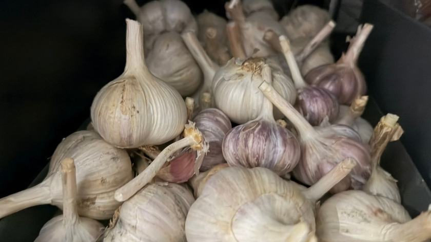 Больше чеснок не выбрасываю - научилась правильно замораживать: вкус как у свежего 