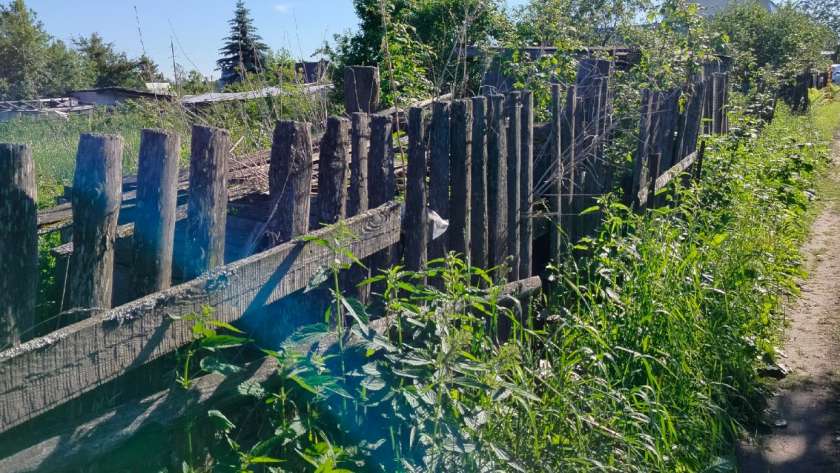 Секрет забора на 100 лет: как наши деды ставили столбы, которые не гниют и стоят до сих пор