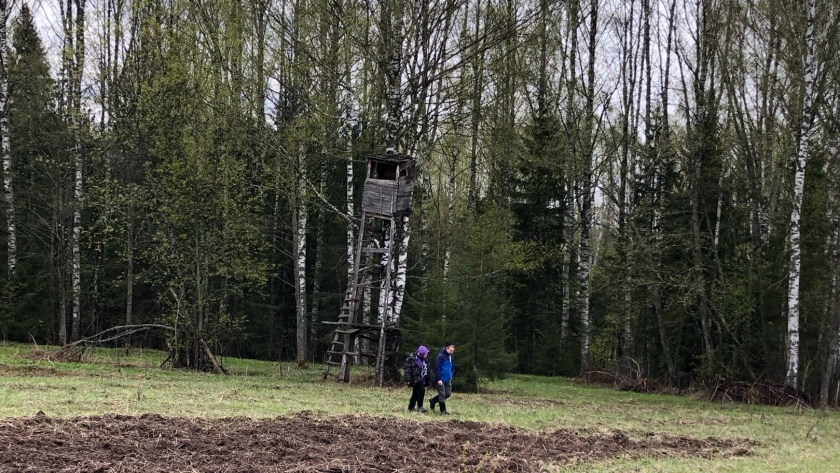 Роспотребнадзор оценил ситуацию с клещами в Кировской области