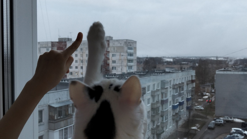 Окна сияют как горный ручей до самых заморозков: один раз помыл в мае — и забыл о грязи и пыли на 120 дней