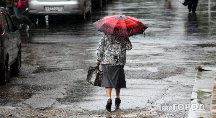 Прогноз погоды: какими будут три рабочих дня в Чепецке?