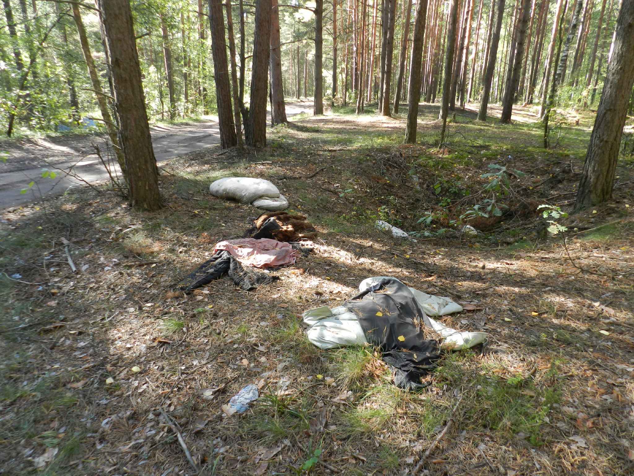 Что обсуждают в Чепецке: гибель 24-летнего парня и тело младенца в лесу