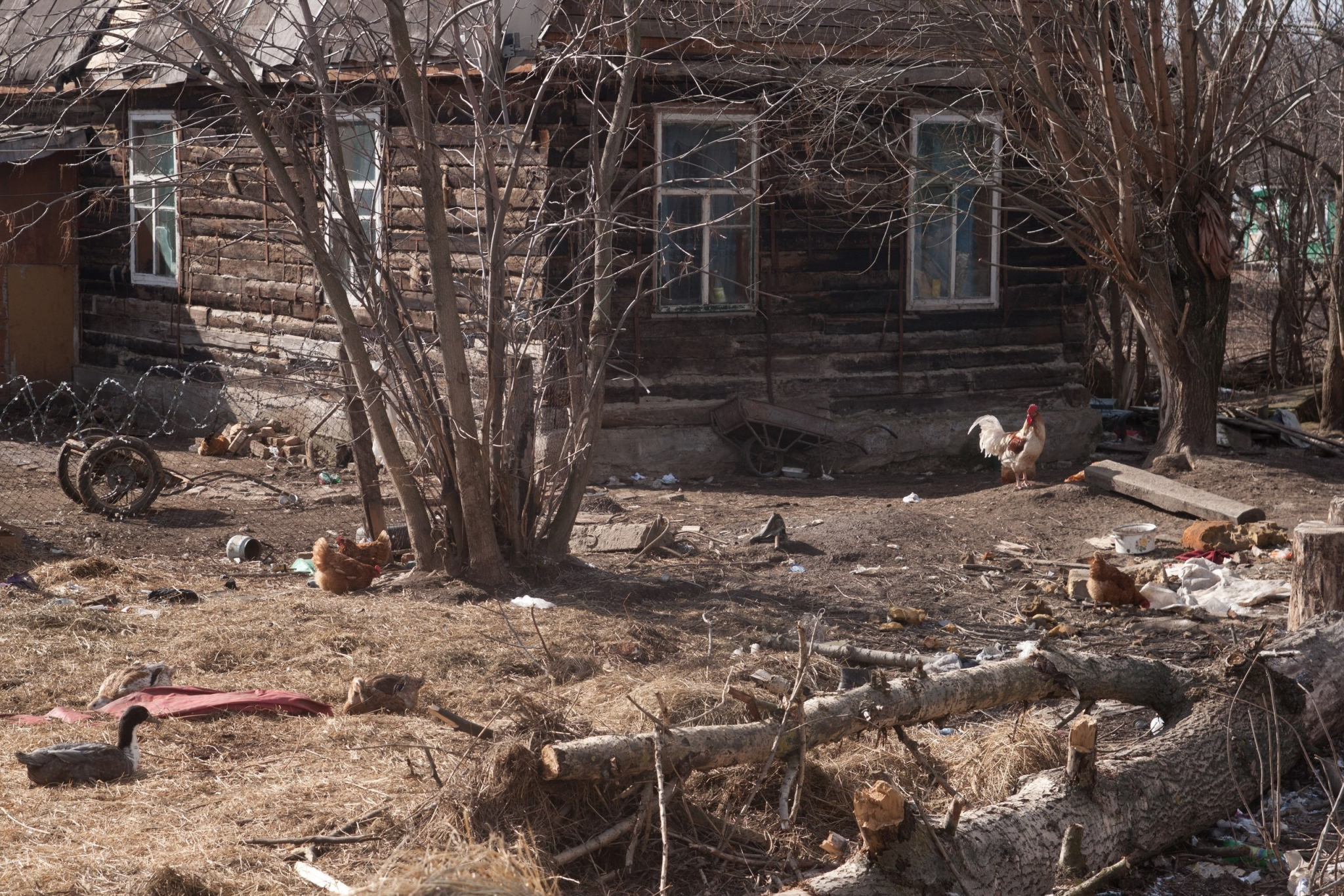 В Кировской области мужчина три месяца жил в доме, где находился труп