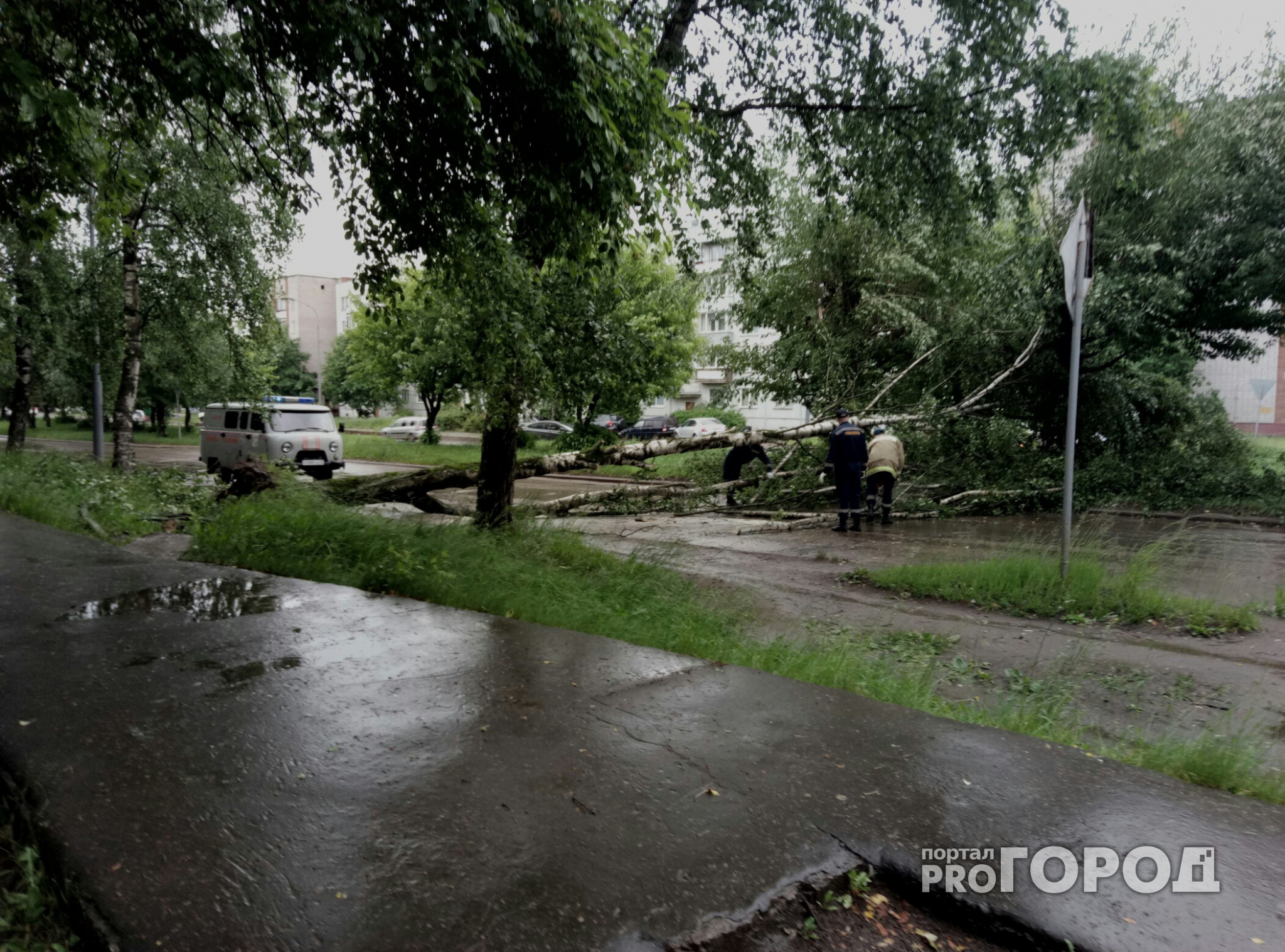Последствия грозы в Чепецке: дерево заблокировало проезд по Луначарского